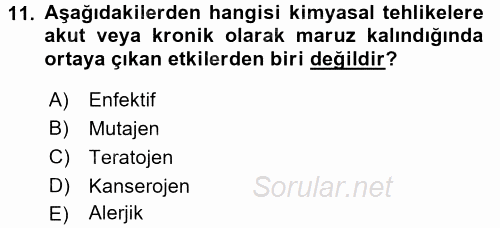 Gıda Güvenliğinin Temel Prensipleri 2017 - 2018 3 Ders Sınavı 11.Soru