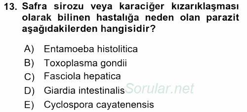 Gıda Güvenliğinin Temel Prensipleri 2017 - 2018 3 Ders Sınavı 13.Soru