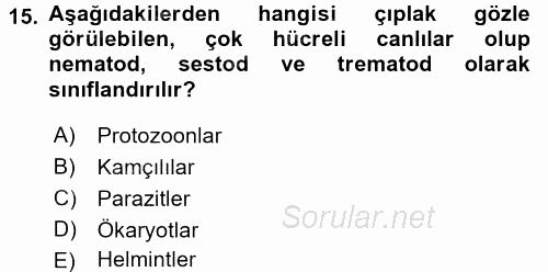 Gıda Güvenliğinin Temel Prensipleri 2017 - 2018 3 Ders Sınavı 15.Soru