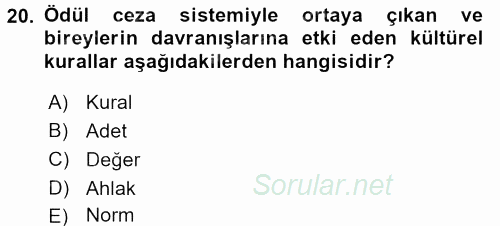 Sosyolojiye Giriş 2017 - 2018 Dönem Sonu Sınavı 20.Soru
