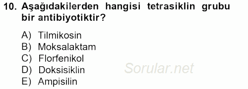 Temel Veteriner Farmakoloji ve Toksikoloji 2013 - 2014 Tek Ders Sınavı 10.Soru