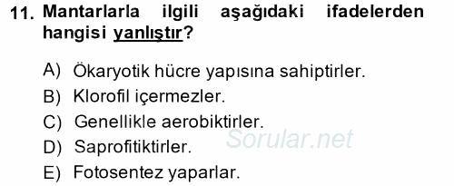 Temel Veteriner Mikrobiyoloji ve İmmünoloji 2014 - 2015 Tek Ders Sınavı 11.Soru