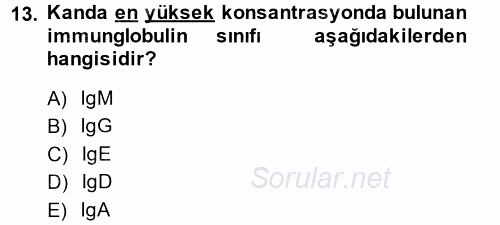 Temel Veteriner Mikrobiyoloji ve İmmünoloji 2014 - 2015 Tek Ders Sınavı 13.Soru