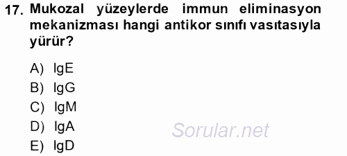 Temel Veteriner Mikrobiyoloji ve İmmünoloji 2014 - 2015 Tek Ders Sınavı 17.Soru