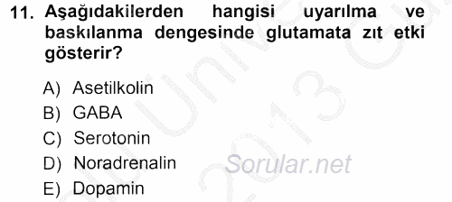 Psikoloji 2012 - 2013 Ara Sınavı 11.Soru