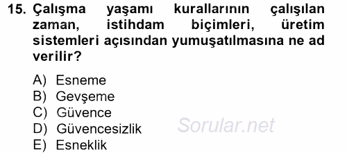 Yeni Teknolojiler ve Çalışma Hayatı 2013 - 2014 Tek Ders Sınavı 15.Soru