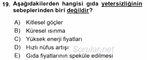Uluslararası Ekonomi Politik 2015 - 2016 Dönem Sonu Sınavı 19.Soru