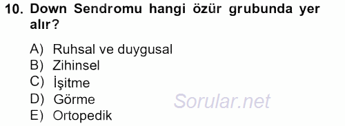 Sosyal Sorunlar 2013 - 2014 Tek Ders Sınavı 10.Soru