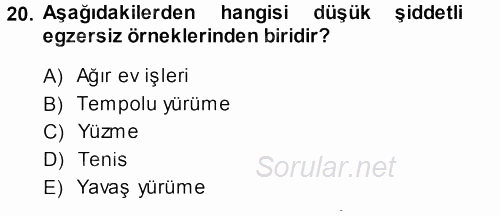 Sosyal Sorunlar 2013 - 2014 Tek Ders Sınavı 20.Soru