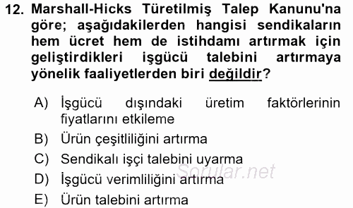 Çalışma Ekonomisi 2 2015 - 2016 Ara Sınavı 12.Soru