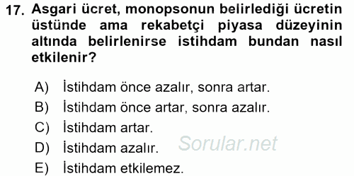Çalışma Ekonomisi 2 2015 - 2016 Ara Sınavı 17.Soru