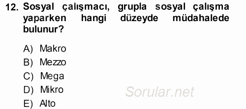 Sosyal Hizmete Giriş 2014 - 2015 Tek Ders Sınavı 12.Soru