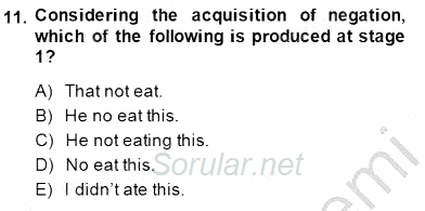 Dilbilim 2 2014 - 2015 Ara Sınavı 11.Soru