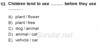 Dilbilim 2 2014 - 2015 Ara Sınavı 13.Soru