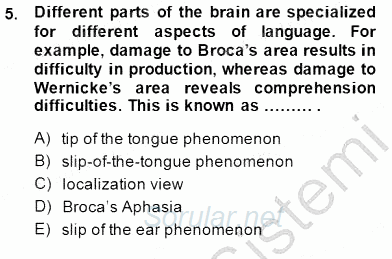 Dilbilim 2 2014 - 2015 Ara Sınavı 5.Soru