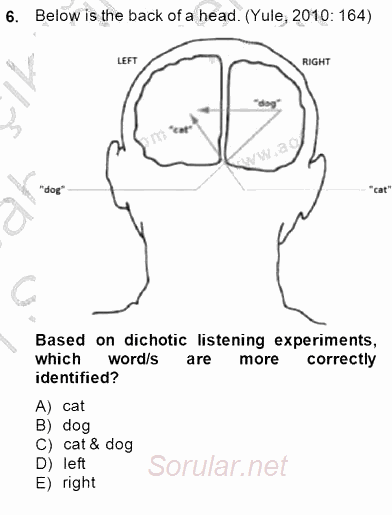 Dilbilim 2 2014 - 2015 Ara Sınavı 6.Soru