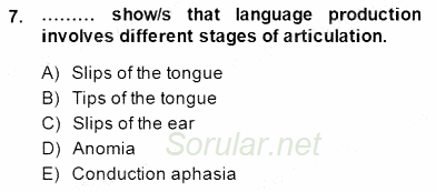 Dilbilim 2 2014 - 2015 Ara Sınavı 7.Soru