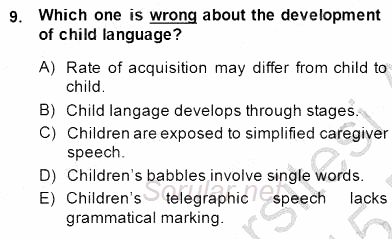 Dilbilim 2 2014 - 2015 Ara Sınavı 9.Soru