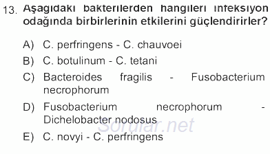 Veteriner Mikrobiyoloji ve Epidemiyoloji 2012 - 2013 Tek Ders Sınavı 13.Soru