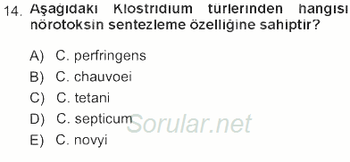 Veteriner Mikrobiyoloji ve Epidemiyoloji 2012 - 2013 Tek Ders Sınavı 14.Soru