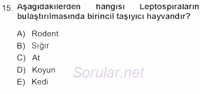 Veteriner Mikrobiyoloji ve Epidemiyoloji 2012 - 2013 Tek Ders Sınavı 15.Soru