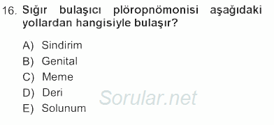 Veteriner Mikrobiyoloji ve Epidemiyoloji 2012 - 2013 Tek Ders Sınavı 16.Soru