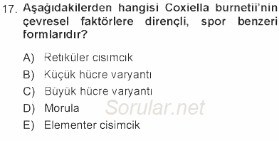 Veteriner Mikrobiyoloji ve Epidemiyoloji 2012 - 2013 Tek Ders Sınavı 17.Soru