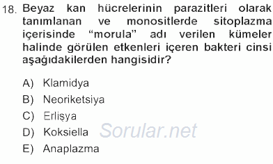 Veteriner Mikrobiyoloji ve Epidemiyoloji 2012 - 2013 Tek Ders Sınavı 18.Soru