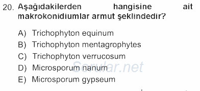 Veteriner Mikrobiyoloji ve Epidemiyoloji 2012 - 2013 Tek Ders Sınavı 20.Soru