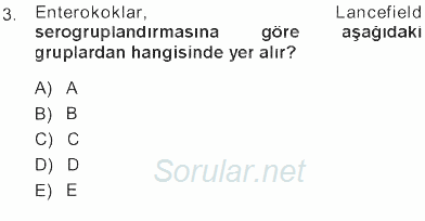 Veteriner Mikrobiyoloji ve Epidemiyoloji 2012 - 2013 Tek Ders Sınavı 3.Soru