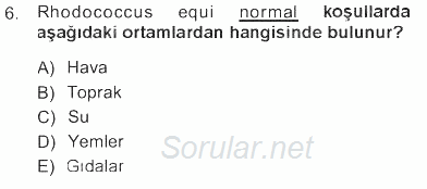 Veteriner Mikrobiyoloji ve Epidemiyoloji 2012 - 2013 Tek Ders Sınavı 6.Soru