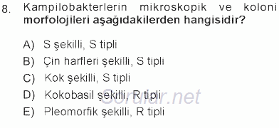 Veteriner Mikrobiyoloji ve Epidemiyoloji 2012 - 2013 Tek Ders Sınavı 8.Soru
