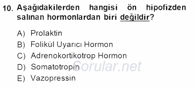 Temel Veteriner Fizyoloji 2014 - 2015 Dönem Sonu Sınavı 10.Soru
