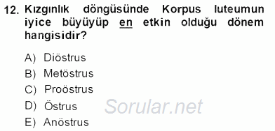 Temel Veteriner Fizyoloji 2014 - 2015 Dönem Sonu Sınavı 12.Soru