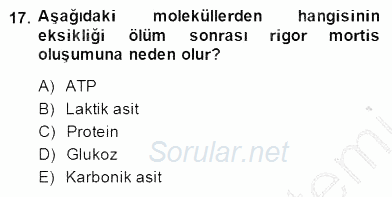 Temel Veteriner Fizyoloji 2014 - 2015 Dönem Sonu Sınavı 17.Soru