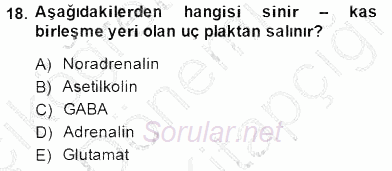 Temel Veteriner Fizyoloji 2014 - 2015 Dönem Sonu Sınavı 18.Soru