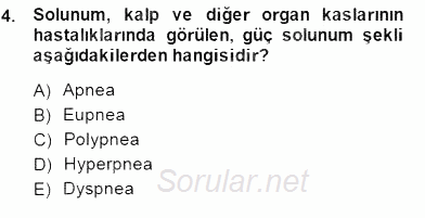 Temel Veteriner Fizyoloji 2014 - 2015 Dönem Sonu Sınavı 4.Soru