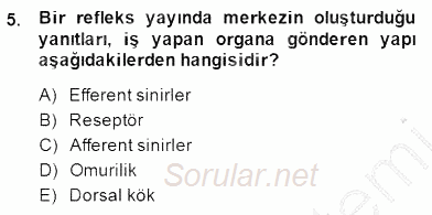 Temel Veteriner Fizyoloji 2014 - 2015 Dönem Sonu Sınavı 5.Soru