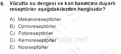 Temel Veteriner Fizyoloji 2014 - 2015 Dönem Sonu Sınavı 6.Soru