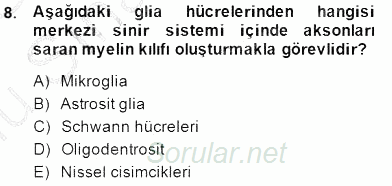 Temel Veteriner Fizyoloji 2014 - 2015 Dönem Sonu Sınavı 8.Soru