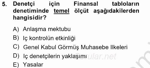 Denetim 2012 - 2013 Ara Sınavı 5.Soru