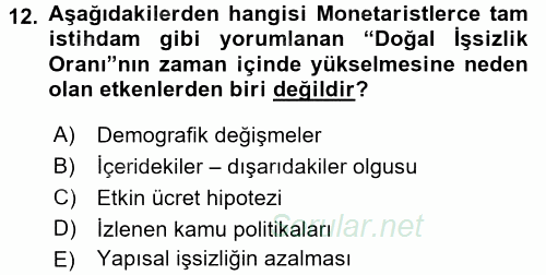 İstihdam ve İşsizlik 2016 - 2017 Ara Sınavı 12.Soru