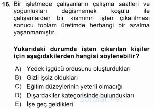 İstihdam ve İşsizlik 2016 - 2017 Ara Sınavı 16.Soru