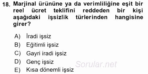 İstihdam ve İşsizlik 2016 - 2017 Ara Sınavı 18.Soru