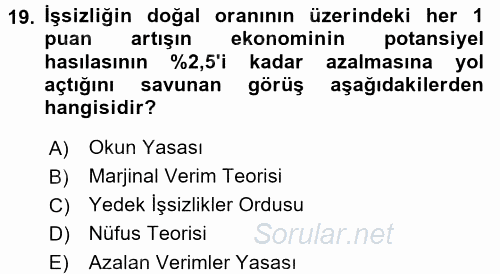 İstihdam ve İşsizlik 2016 - 2017 Ara Sınavı 19.Soru