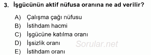 İstihdam ve İşsizlik 2016 - 2017 Ara Sınavı 3.Soru