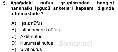 İstihdam ve İşsizlik 2016 - 2017 Ara Sınavı 5.Soru