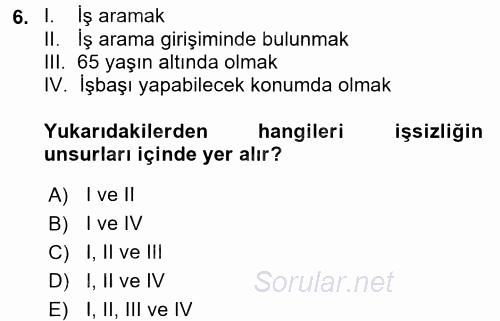 İstihdam ve İşsizlik 2016 - 2017 Ara Sınavı 6.Soru