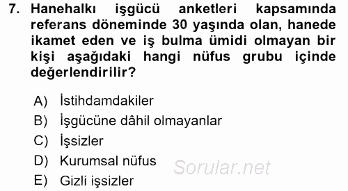İstihdam ve İşsizlik 2016 - 2017 Ara Sınavı 7.Soru