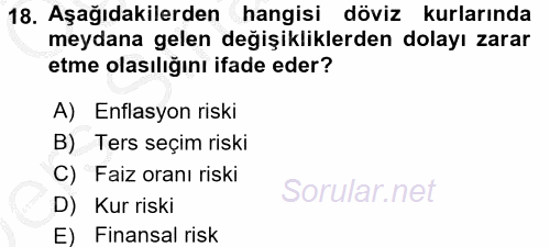 Finansal Yönetim 2 2016 - 2017 3 Ders Sınavı 18.Soru